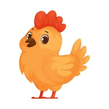 Neşeli bir çizgi film kuşu parlak turuncu ve sarı renklere sahiptir. Büyük, anlamlı gözleri, küçük, dokulu kırmızı bir tarağı ve dostane bir tavrı var..