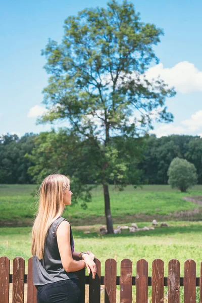 Young Woman Sheeps Meadow — Stock Photo, Image