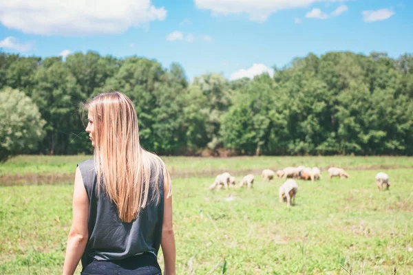 Young Woman Sheeps Meadow — Stock Photo, Image