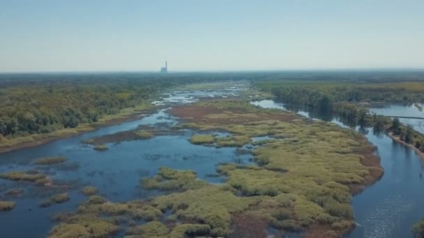 Vista Aérea Lago Primavera — Vídeos de Stock