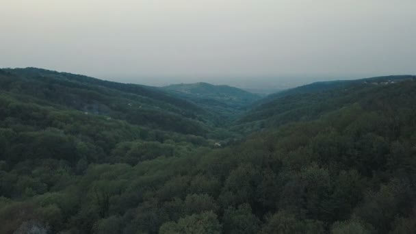 Luftaufnahme Des Waldes Frühling — Stockvideo