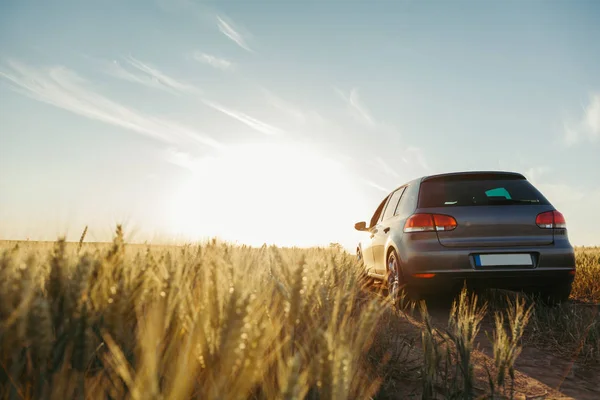 Voiture Sur Terrain Coucher Soleil Été — Photo