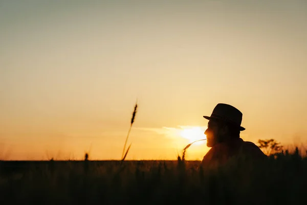 Νεαρός Άνδρας Που Αναπαύεται Στο Πεδίο Σιτάρι Στο Ηλιοβασίλεμα — Φωτογραφία Αρχείου