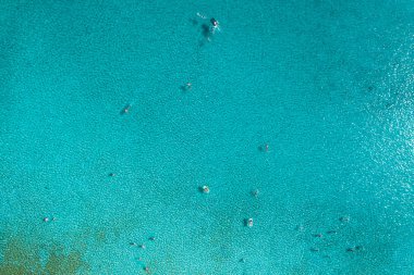 Yüzücüler tam denizin havadan görünümü