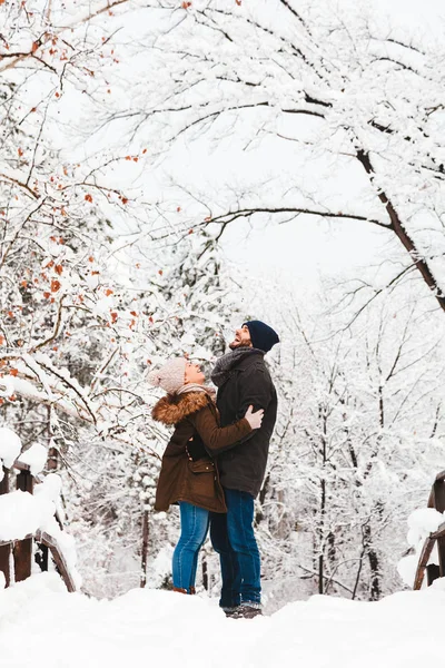Молодая Пара Влюблена Мосту Парке Зимой — стоковое фото