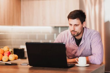 Genç işadamı bir dizüstü bilgisayarda evde çalışma