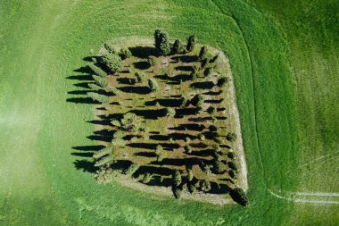 İlkbaharda Toskana selvi manzara havadan görünümü 