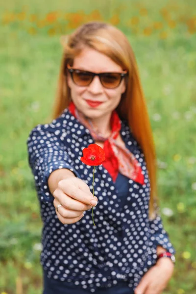 Young Woman Holding Red Flower Field — Stock Photo, Image