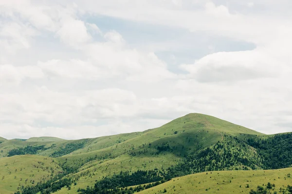 Вид Красивый Горный Хребет Летом — стоковое фото