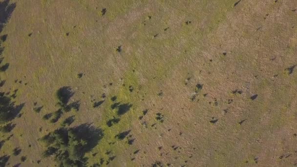 Luftaufnahmen Von Schönen Tälern Den Bergen Bei Sonnenuntergang — Stockvideo