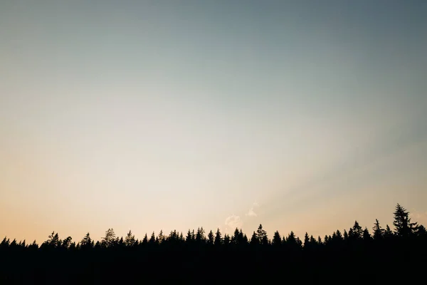 Krásný Západ Slunce Nad Horským Borovým Lesem — Stock fotografie