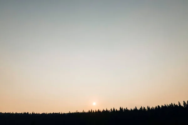 Όμορφο Ηλιοβασίλεμα Πάνω Από Πευκοδάσος Του Βουνού — Φωτογραφία Αρχείου