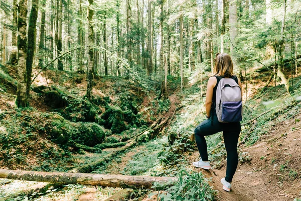 Ung Kvinnlig Naturupptäckare Skogen — Stockfoto