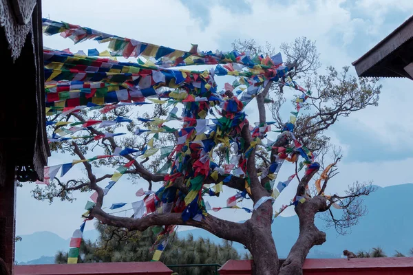 Bandeira Oração Swayambhunath Dentro Uma Árvore Uma Vista Das Colinas — Fotografia de Stock