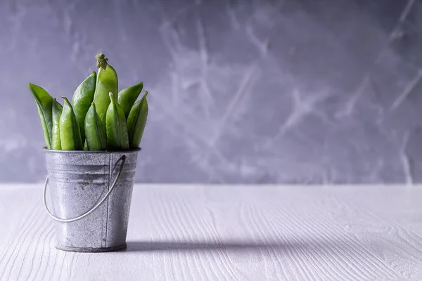  Bezelye kabuklarıyla dolu küçük bir kova. Beyaz ve gri arka planlar. Boşluğu kopyala.