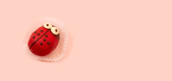Festa Compleanno Dei Bambini Concetto Vacanza Con Coccinella Dolce Yummy — Foto Stock