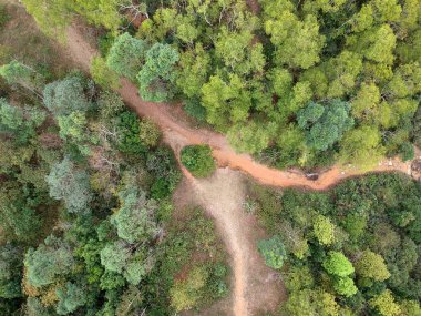 Arial görünümünü yürüyüş yolu, Hong Kong