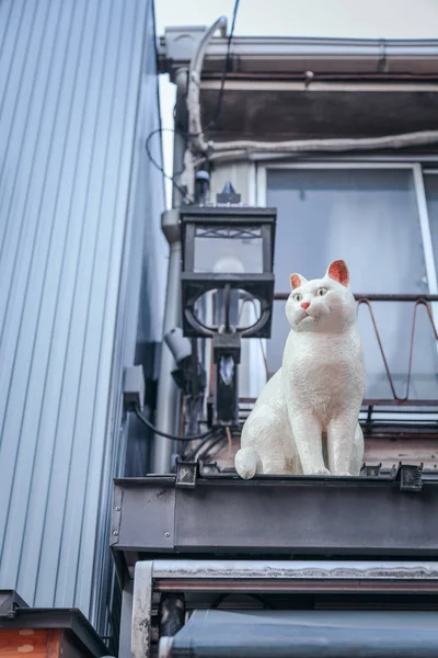 Άγαλμα Γάτα Στη Στέγη Ιαπωνία — Φωτογραφία Αρχείου