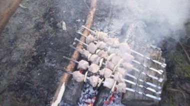 Yakışıklı adam ormanda ateşte et şişi pişiriyor.