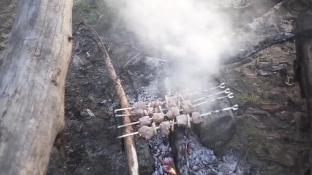 一个英俊的家伙在森林的火堆上烤肉串 — 图库视频影像