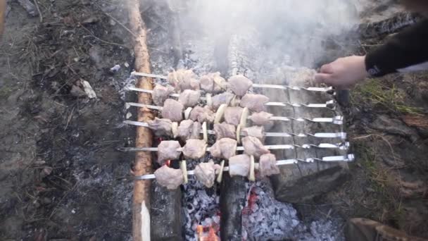Hübscher Kerl Kocht Fleischspieße Auf Einem Feuer Wald — Stockvideo