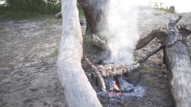 Hübscher Kerl Kocht Fleischspieße Auf Einem Feuer Wald — Stockvideo