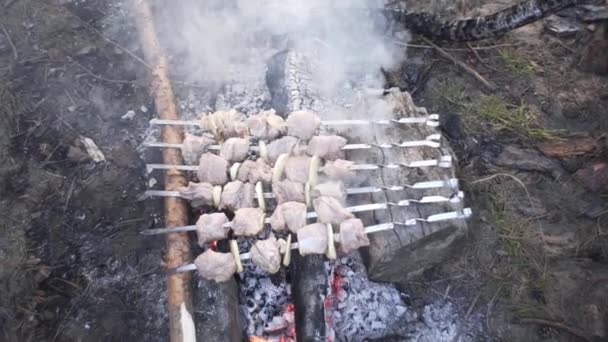 Guapo Chico Cocina Brochetas Carne Fuego Bosque — Vídeo de stock