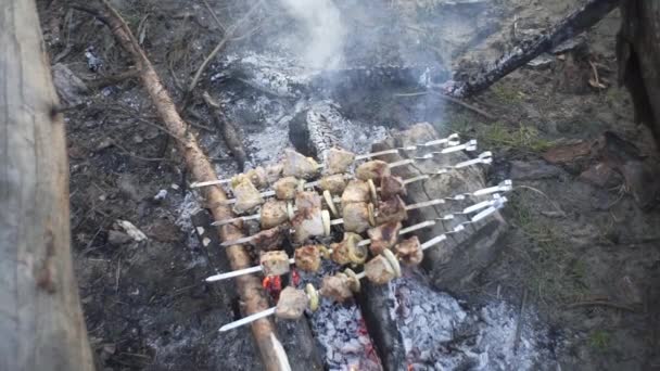 Guapo Chico Cocina Brochetas Carne Fuego Bosque — Vídeo de stock