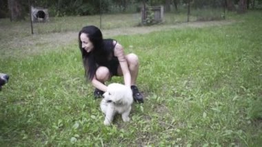 Güzel kız bir köpek yavrusu ve doğada büyük bir köpekle oynuyor.