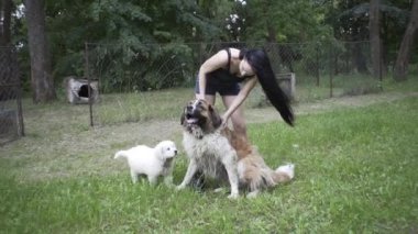 Güzel kız bir köpek yavrusu ve doğada büyük bir köpekle oynuyor.