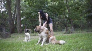 Güzel kız bir köpek yavrusu ve doğada büyük bir köpekle oynuyor.