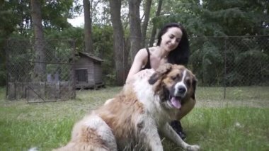 Güzel kız bir köpek yavrusu ve doğada büyük bir köpekle oynuyor.