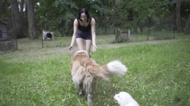 Güzel kız bir köpek yavrusu ve doğada büyük bir köpekle oynuyor.