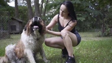 Güzel kız bir köpek yavrusu ve doğada büyük bir köpekle oynuyor.