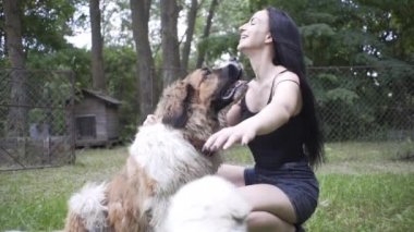 Güzel kız bir köpek yavrusu ve doğada büyük bir köpekle oynuyor.