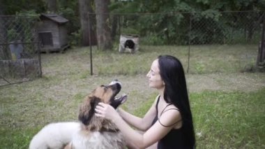 Güzel kız bir köpek yavrusu ve doğada büyük bir köpekle oynuyor.