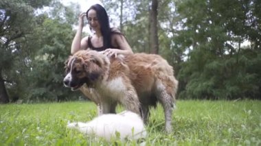 Güzel kız bir köpek yavrusu ve doğada büyük bir köpekle oynuyor.