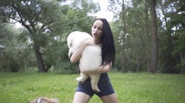 Güzel kız bir köpek yavrusu ve doğada büyük bir köpekle oynuyor.