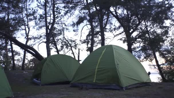 Acampar Com Várias Tendas Floresta Perto Rio — Vídeo de Stock