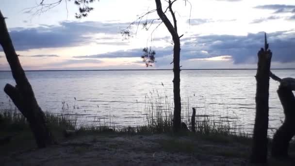 Zachód Słońca Lesie Pobliżu Wieczorem Namioty Stoją Lesie Nad Rzeką — Wideo stockowe