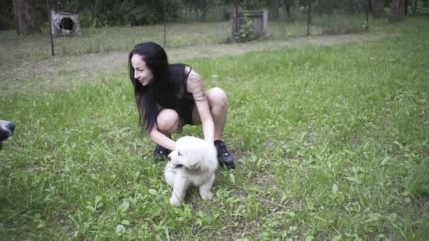 Mooi Meisje Speelt Met Een Puppy Een Grote Hond Natuur — Stockvideo