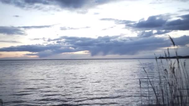 Coucher Soleil Dans Forêt Près Heure Soir Les Tentes Tiennent — Video