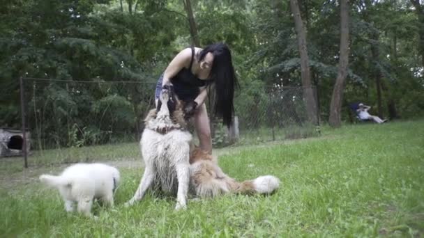 Mooi Meisje Speelt Met Een Puppy Een Grote Hond Natuur — Stockvideo