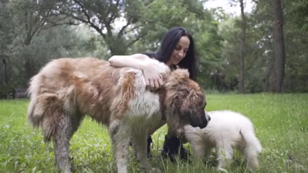 Vacker Flicka Leker Med Valp Och Stor Hund Naturen — Stockvideo