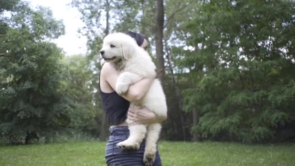 Hermosa Chica Juega Con Cachorro Perro Grande Naturaleza — Vídeo de stock