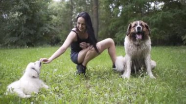Güzel kız bir köpek yavrusu ve doğada büyük bir köpekle oynuyor.