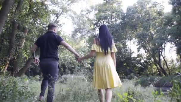 Beau Mec Jolie Fille Marchent Dans Les Bois Près Lac — Video