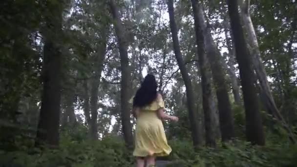 Hermosa Chica Camina Bosque Cerca Del Lago Atardecer — Vídeos de Stock