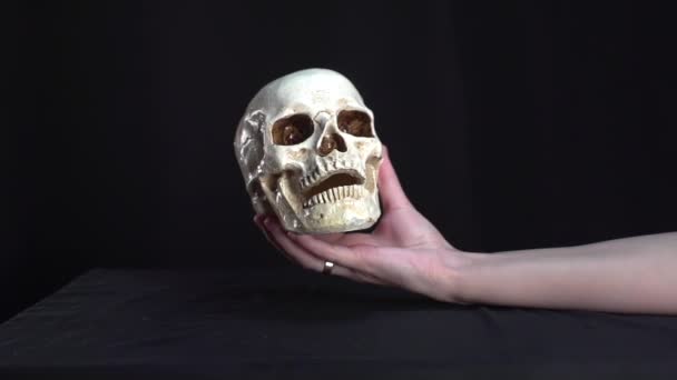 Beautiful Skull Beautiful Hand — Stock Video