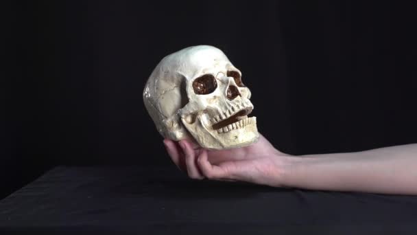 Beautiful Skull Beautiful Hand — Stock Video